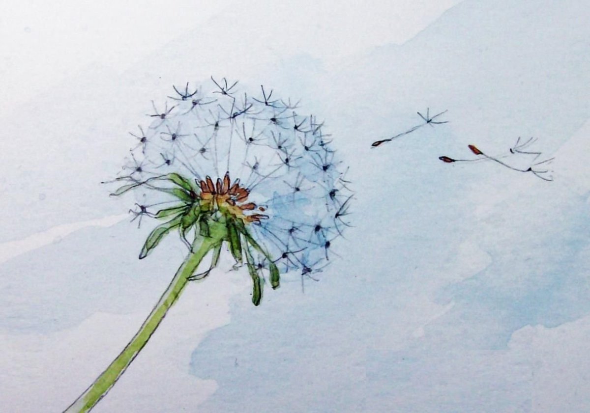 Рисование акварелью одуванчиков