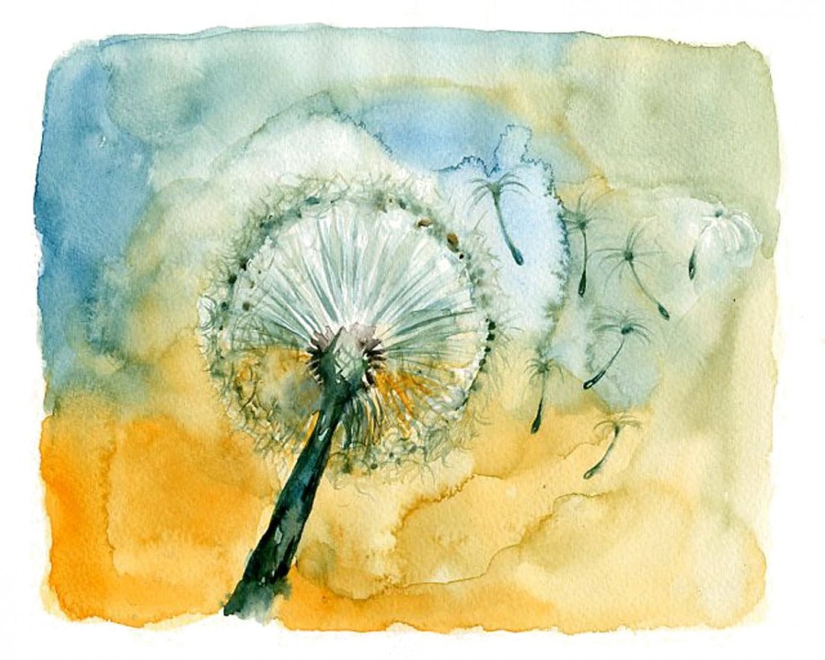 Одуванчик рисунок акварелью