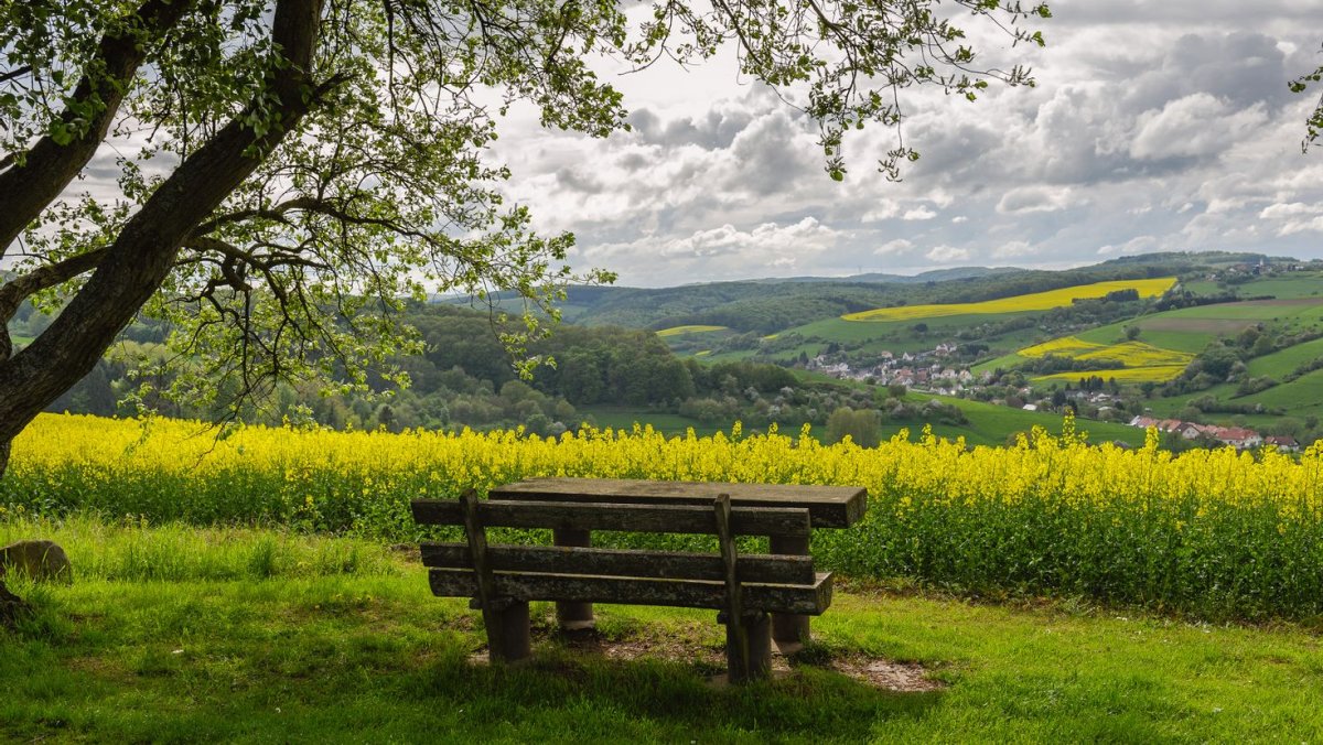 Летний пейзаж
