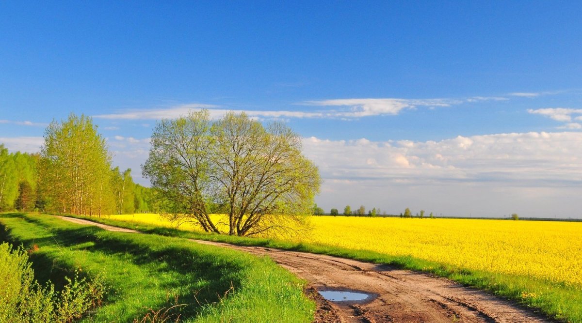 Красивые майские пейзажи