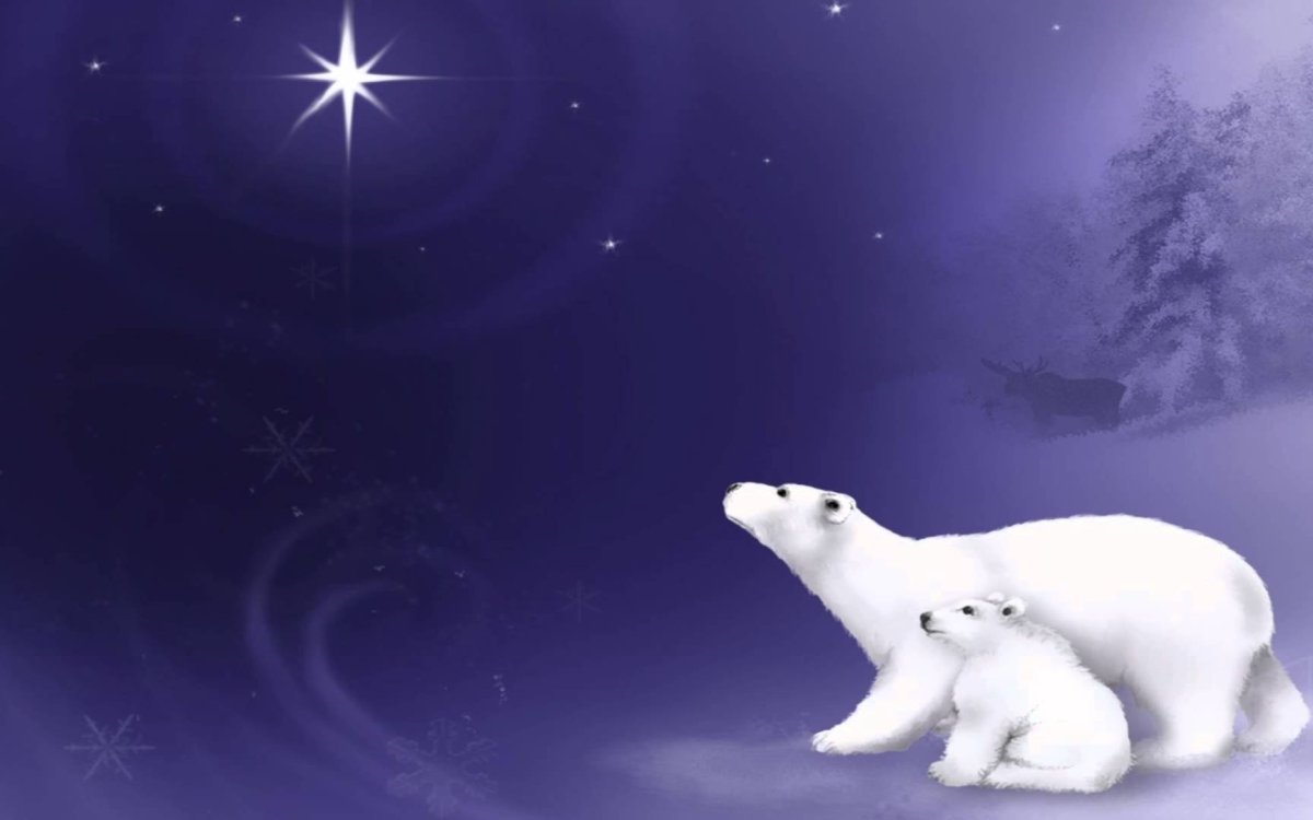 Белый мишка живой