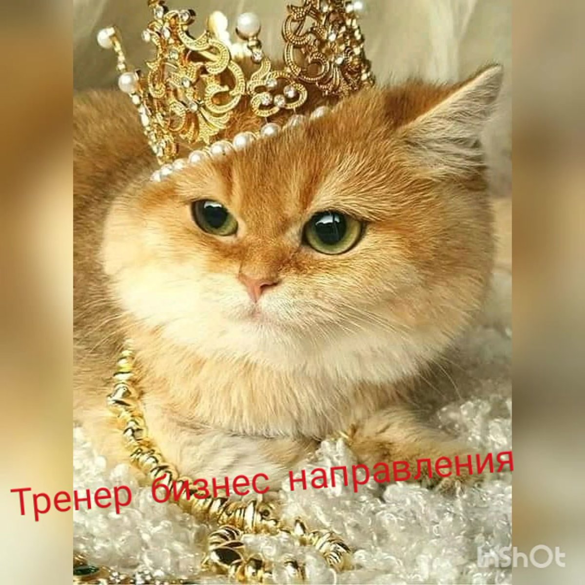 Кошечка с короной