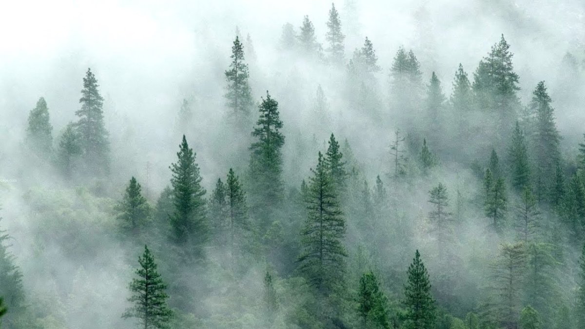 Туман картинка для детей