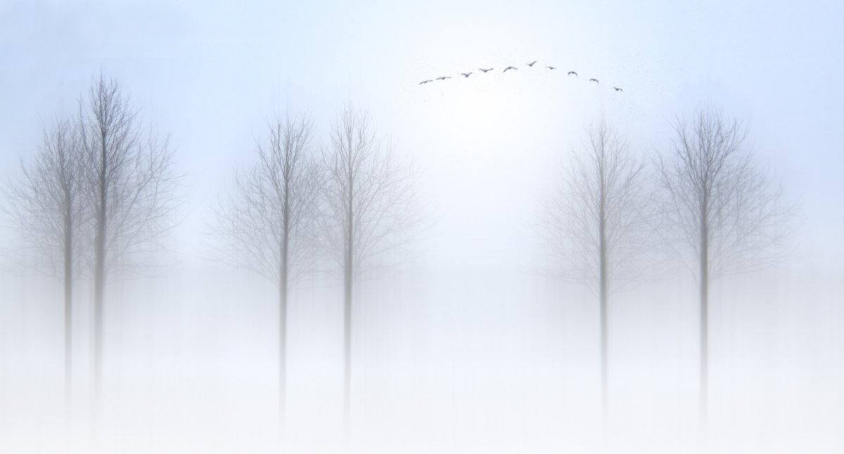 Туманное зрение