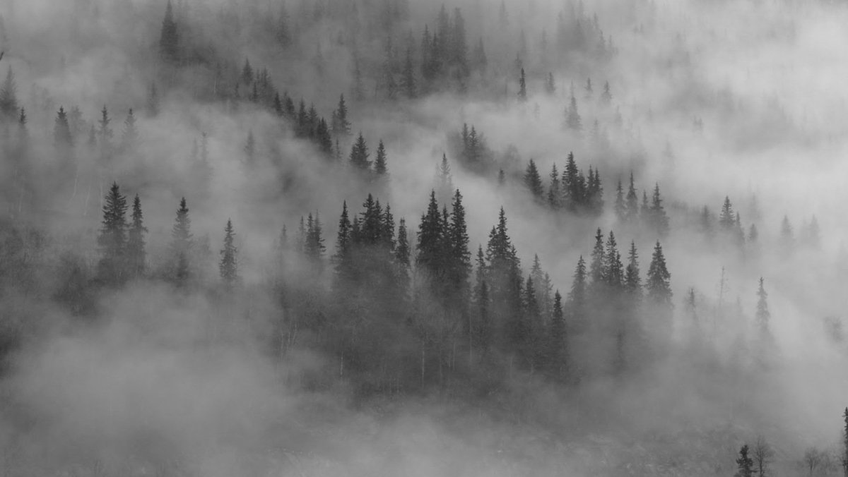 Серый туман