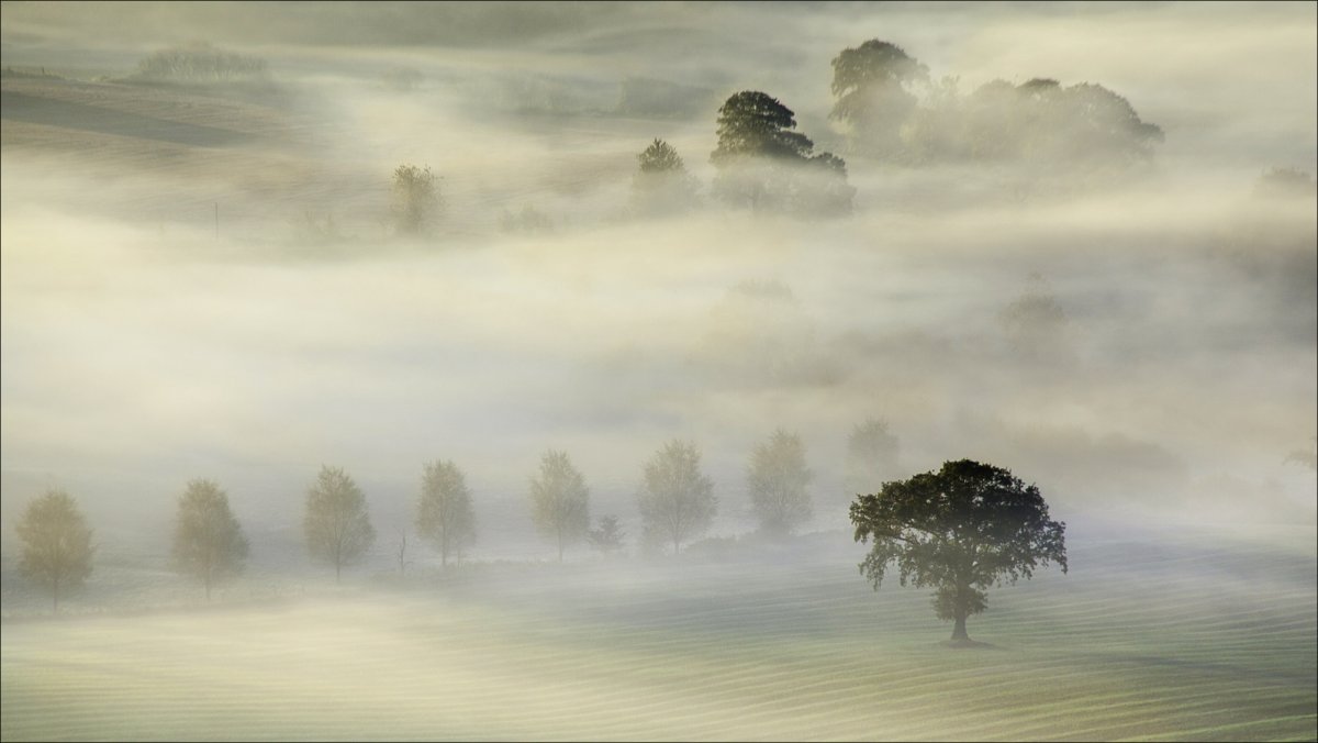 Утренняя мгла