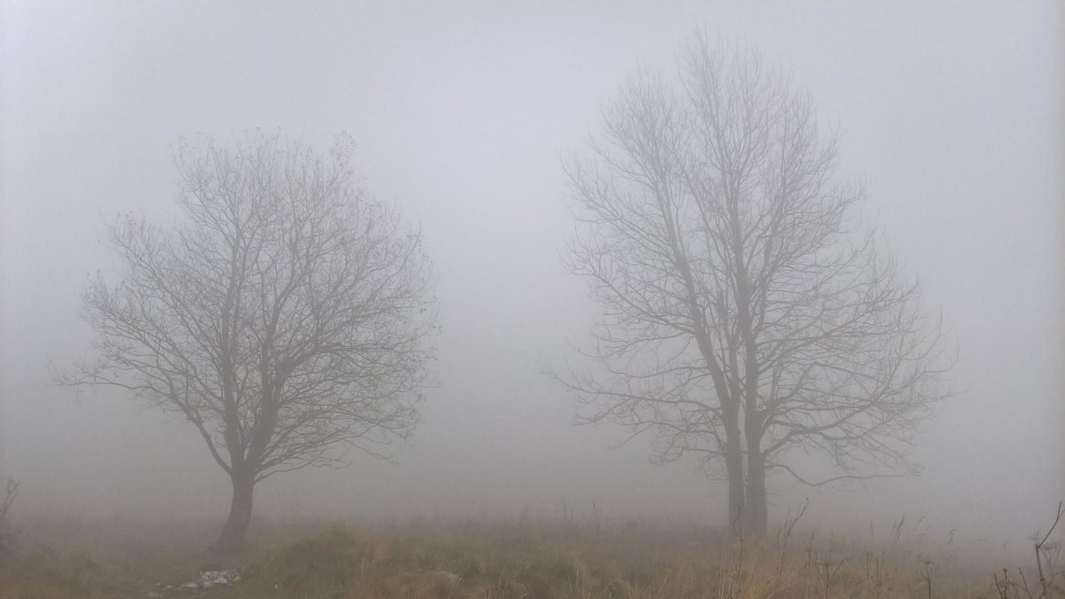 Туман для дошкольников