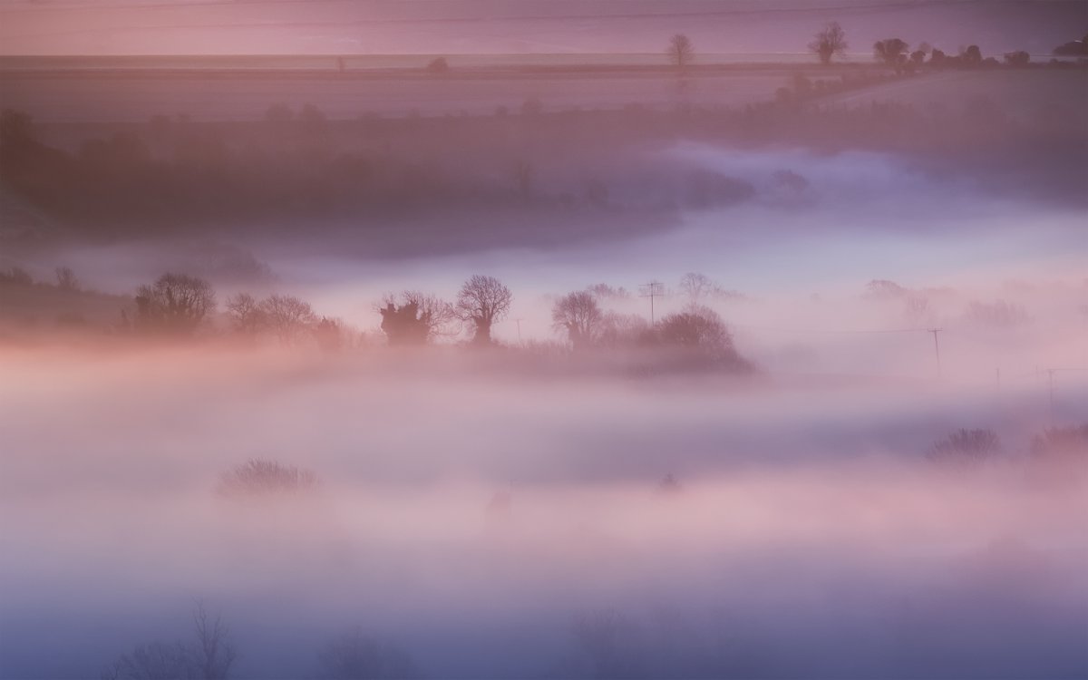 Бледный пейзаж