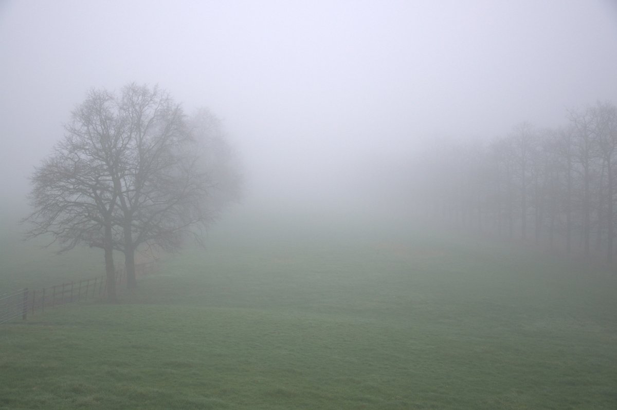 Туман атмосферное явление