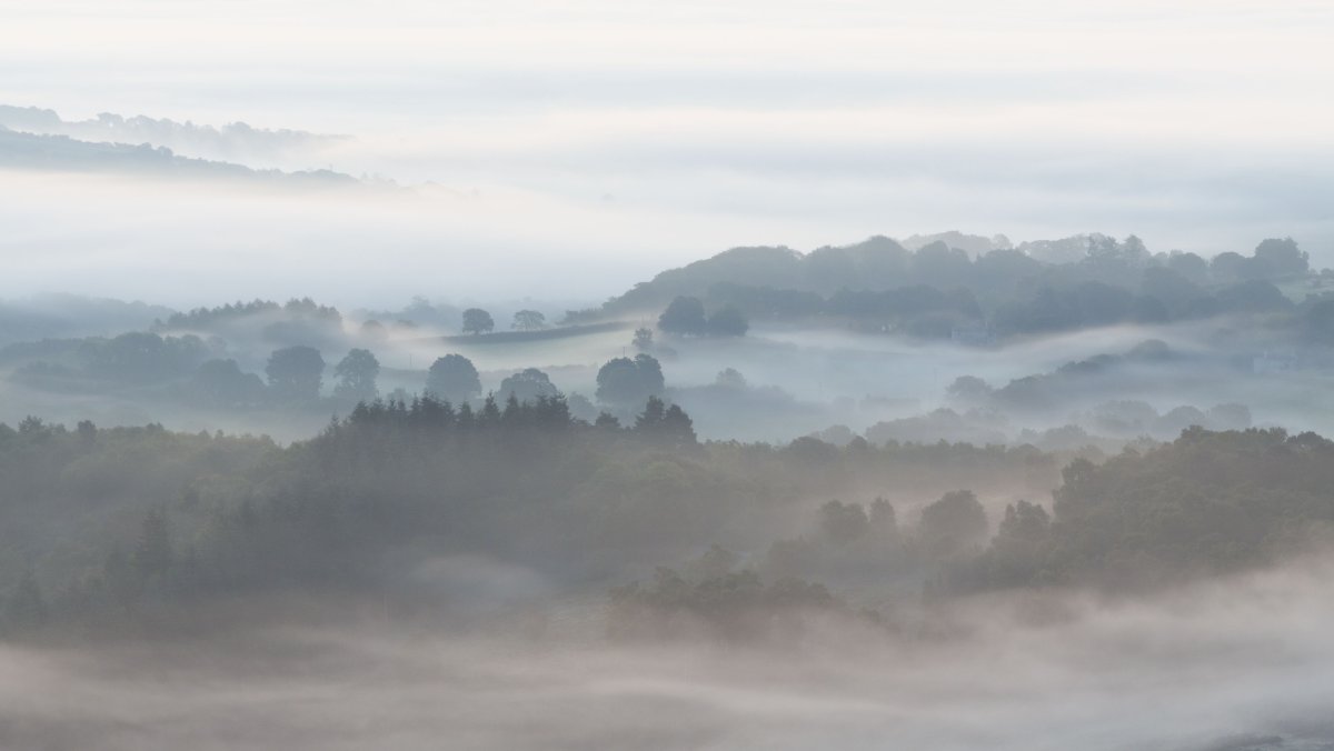 Туман на горизонте