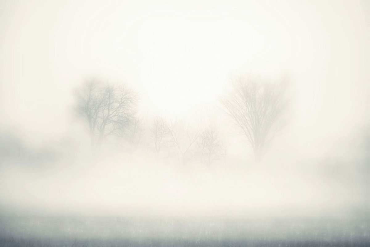 Очень густой туман