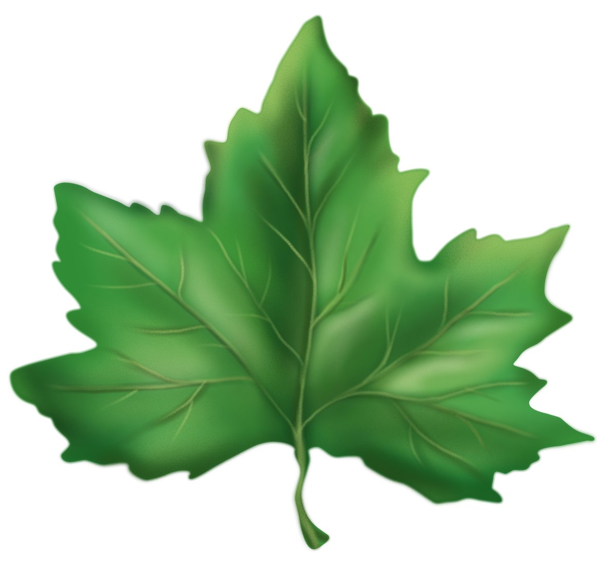 Листья Чинара для детей