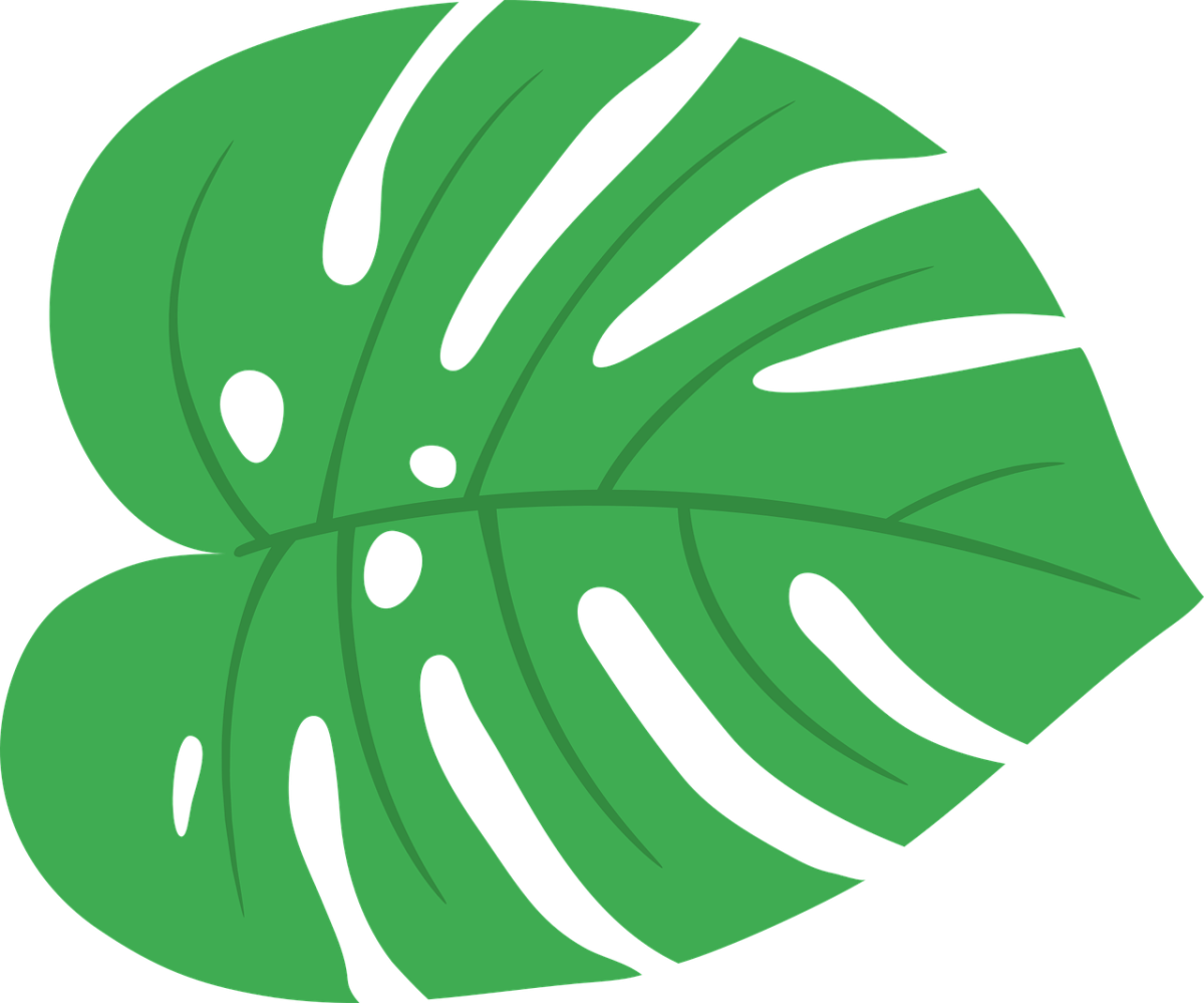 Тропические листья на прозрачном фоне