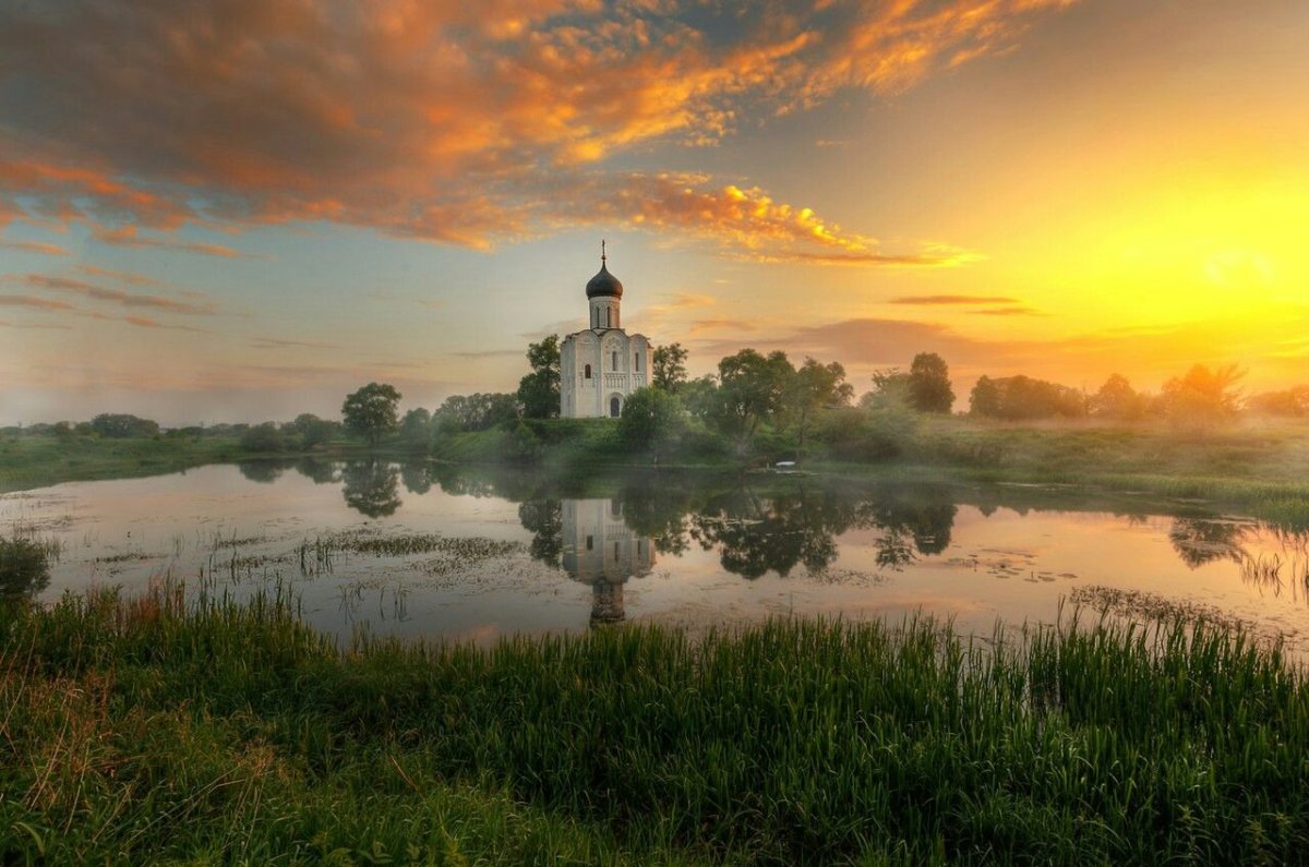 Ленинградская область, д. Согиницы.