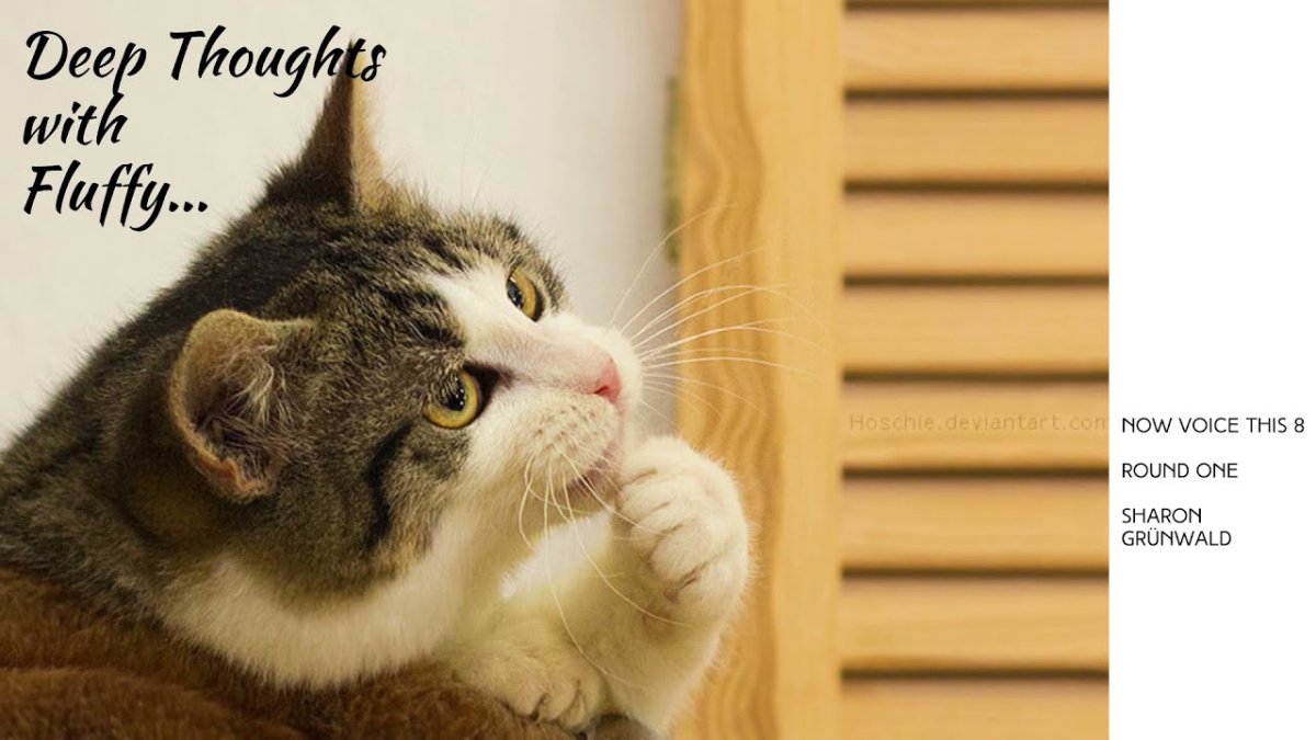 Задумчивая кошка