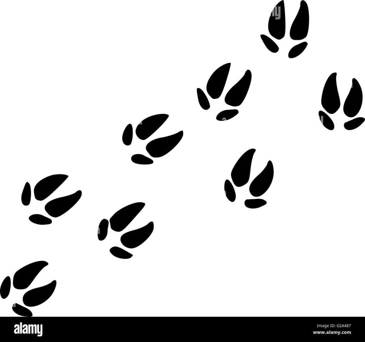 Следы лося Графика