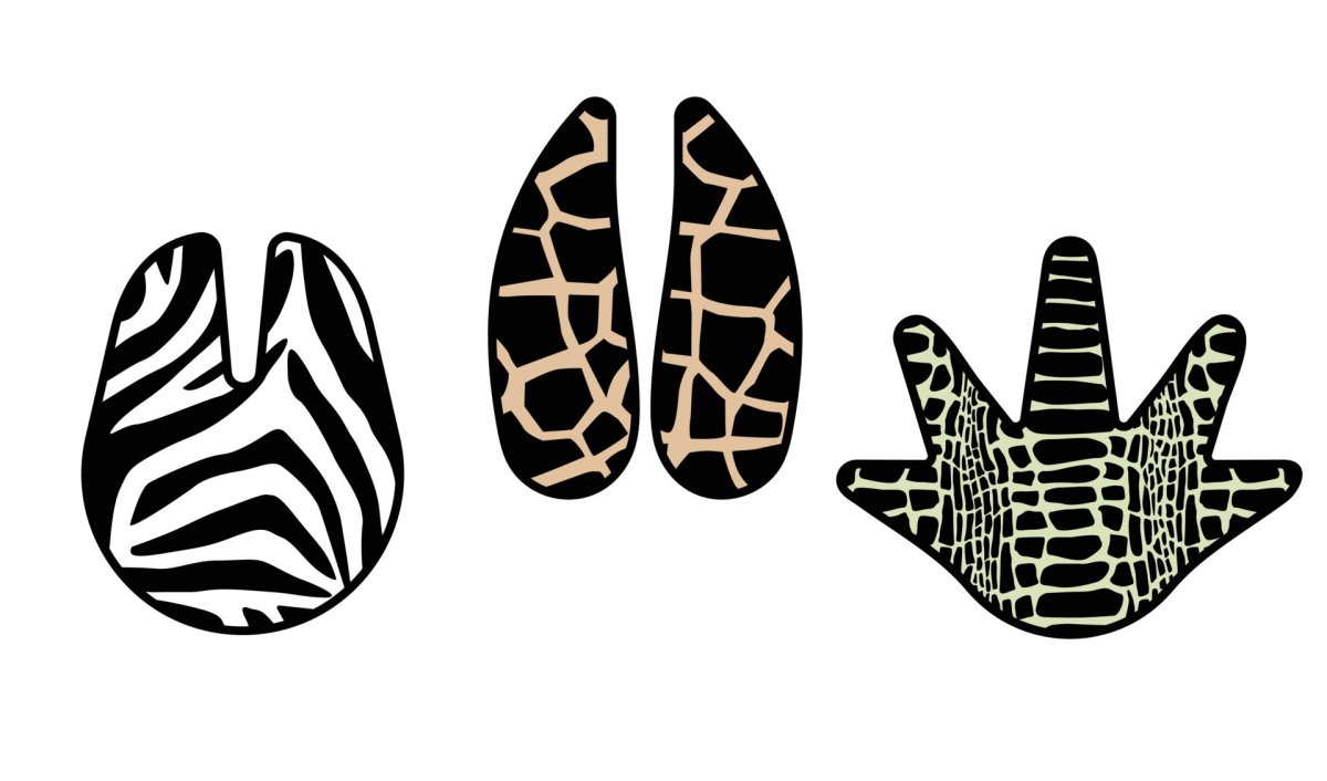 Следы копытных диких животных