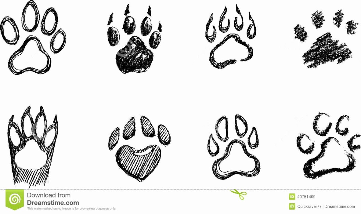 Следы кабана и лося на земле