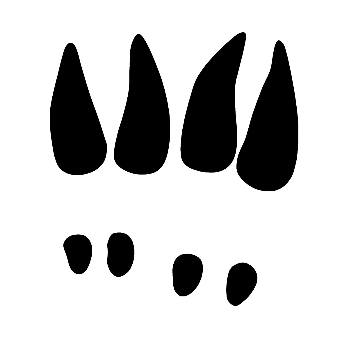 Следы жирафа