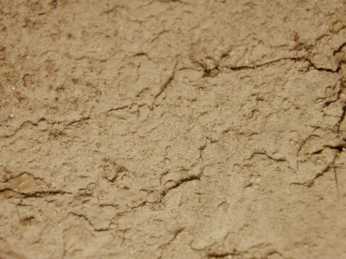 Глинистая земля текстура