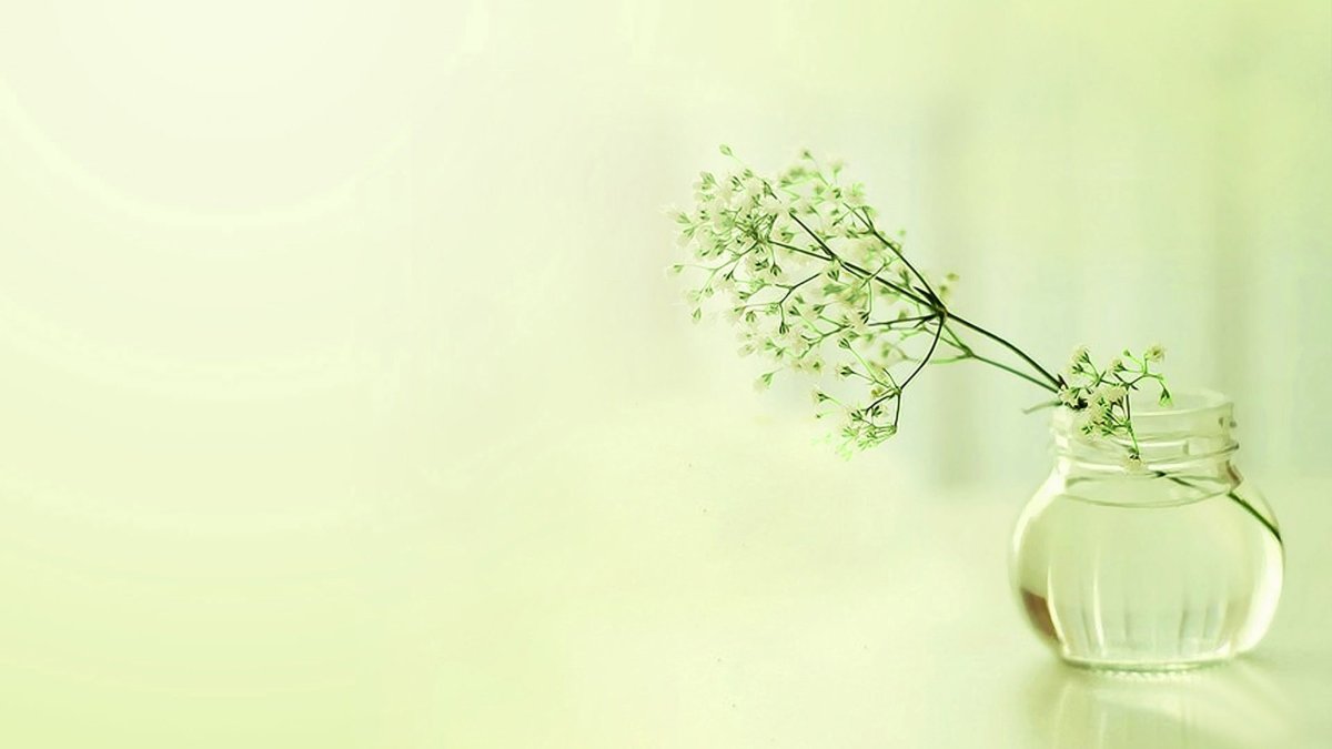 Зелень Минимализм