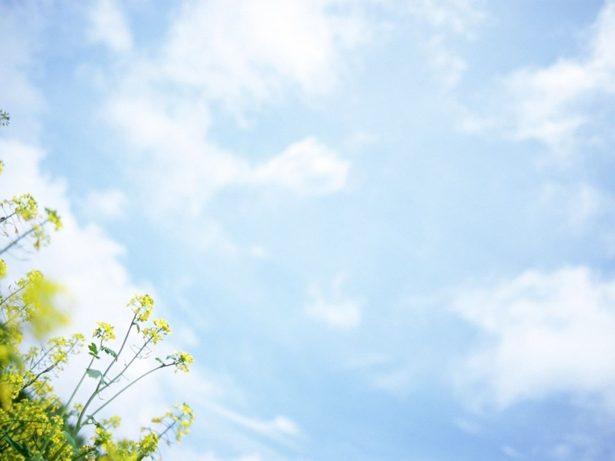 Весенний фон для презентации