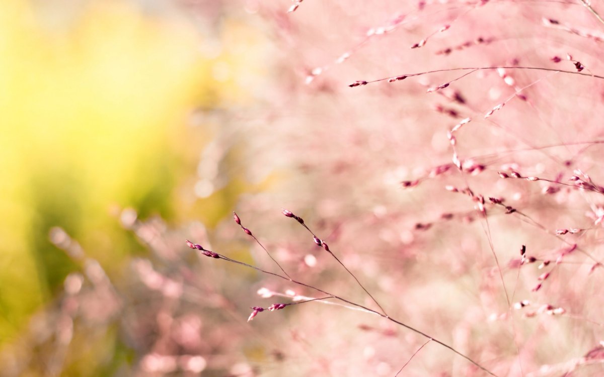 Природа в пастельных тонах