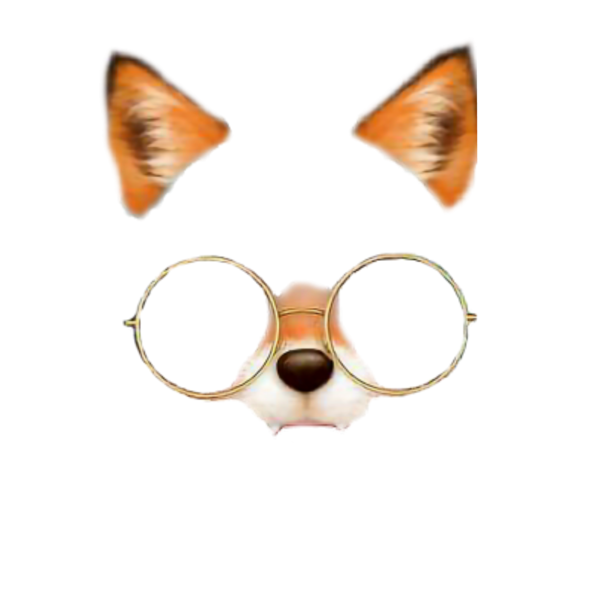 Лисьи уши на прозрачном фоне