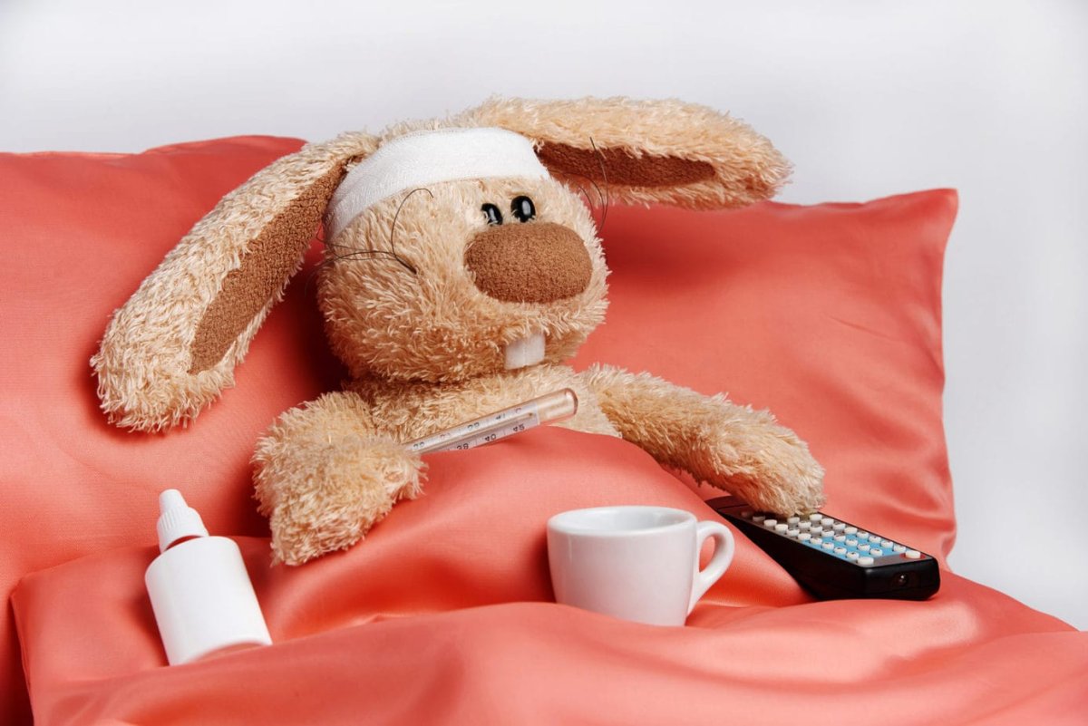 Зайка с градусником