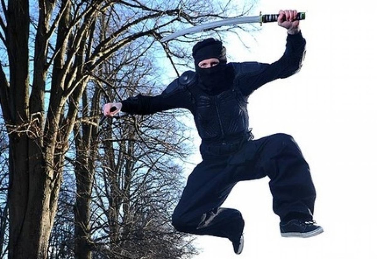 Ниндзя с поднятой рукой