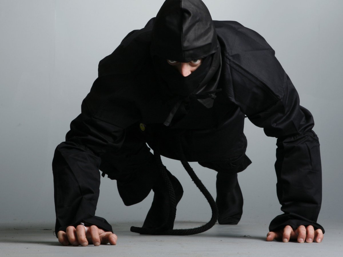 Ниндзя фото