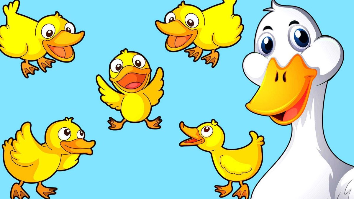 Уточка на прозрачном фоне