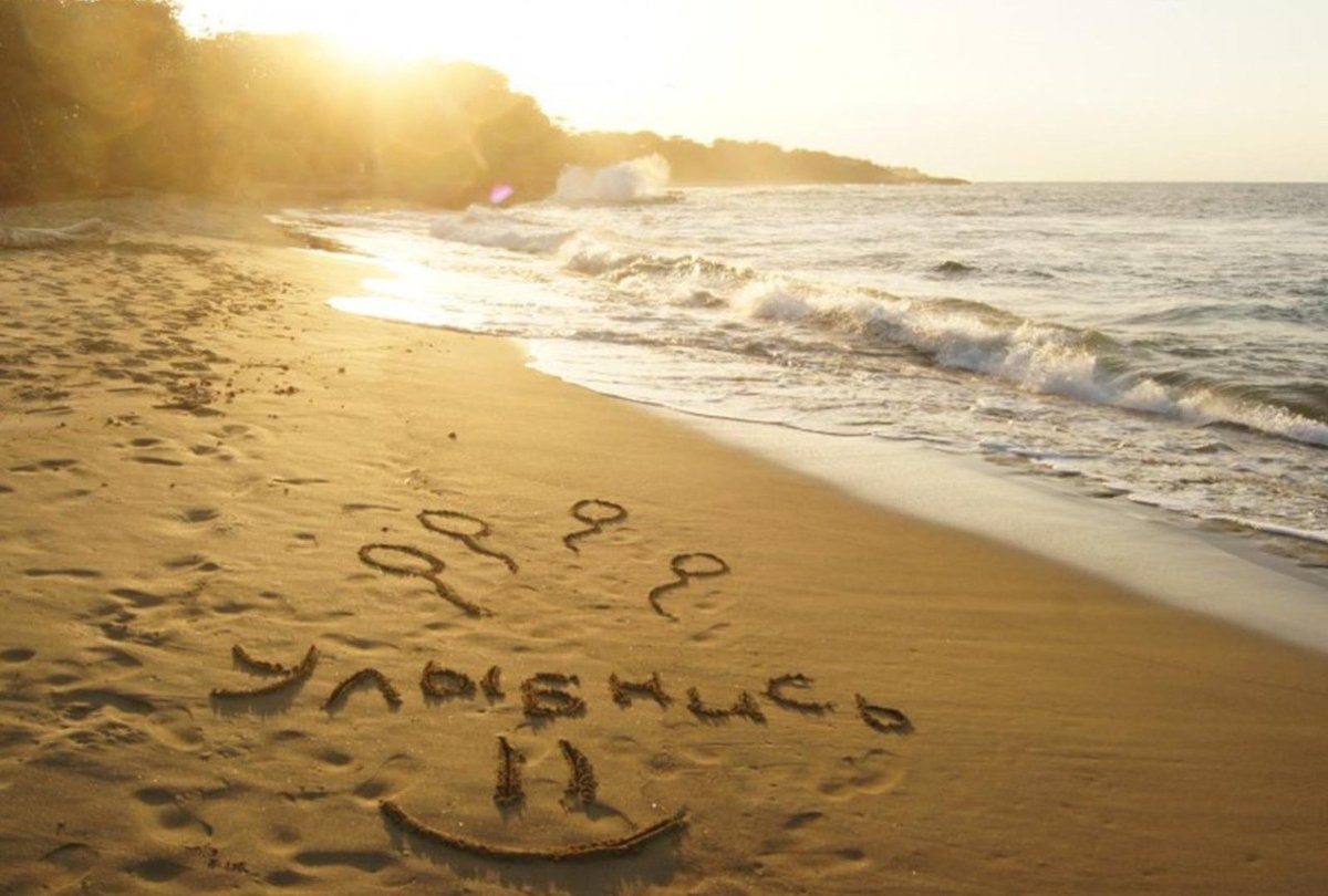 Лето в чашке