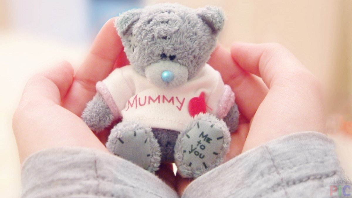 Мишка в руках