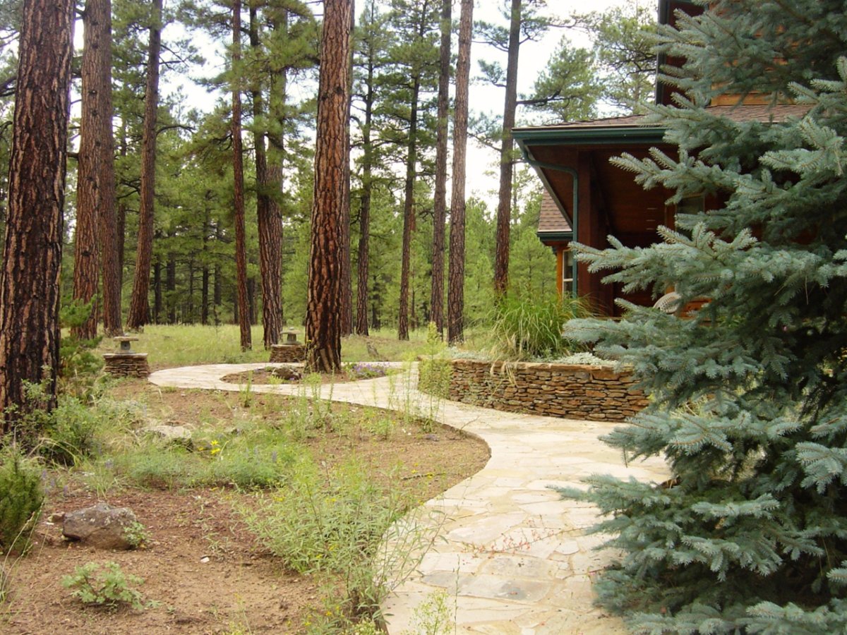 Лесопарк Сосновый Бор Подольск