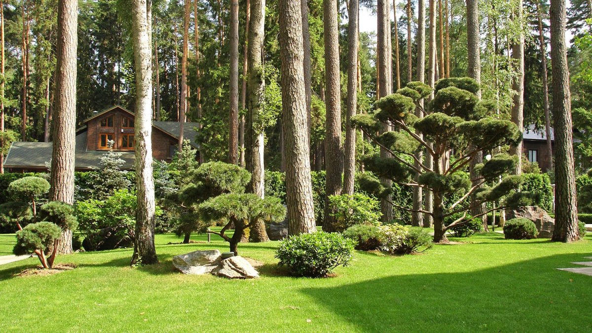 Лесопарковый ландшафт макроландшафт