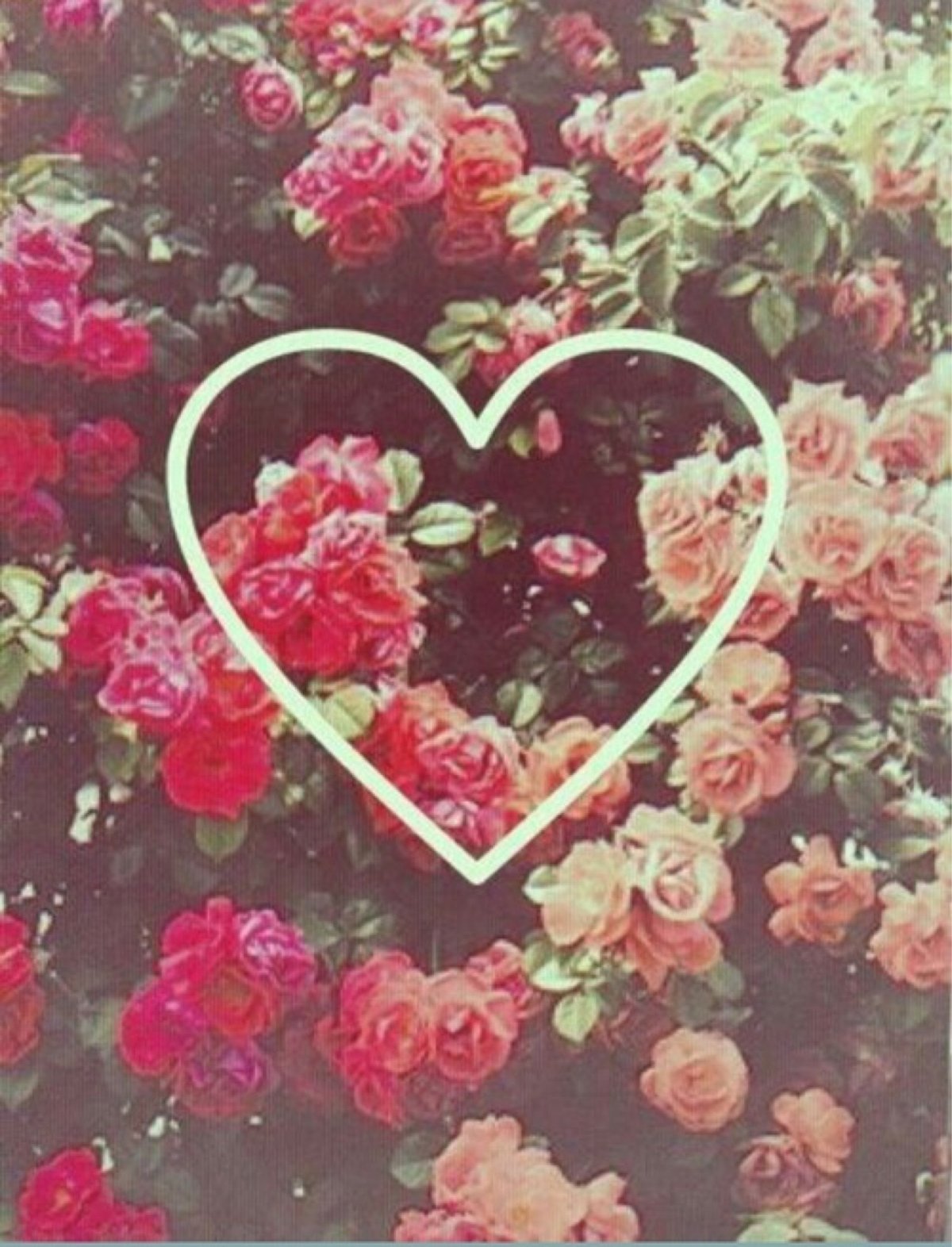 Ава для группы в ватсапе