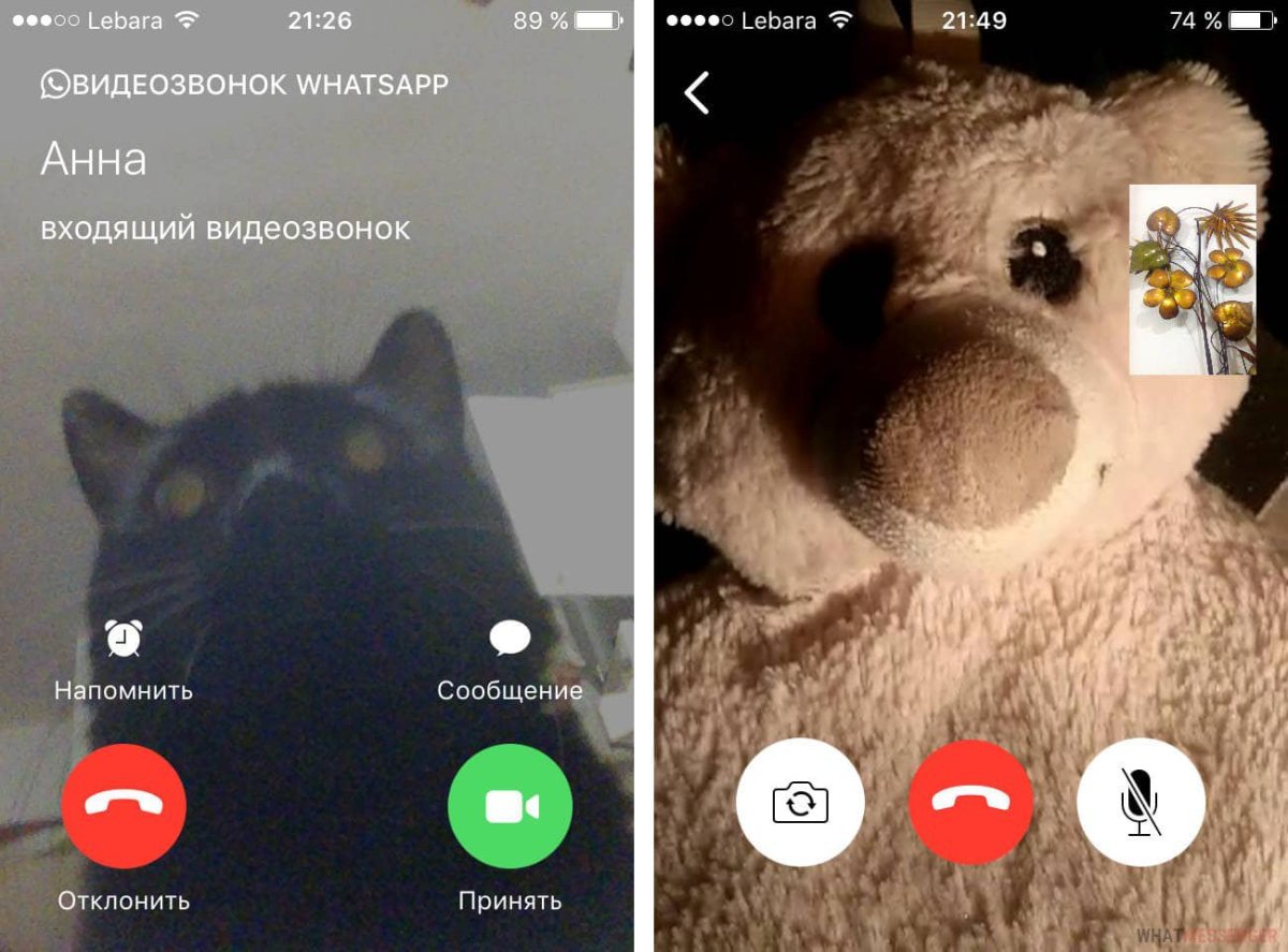 Альтернатива ватсап