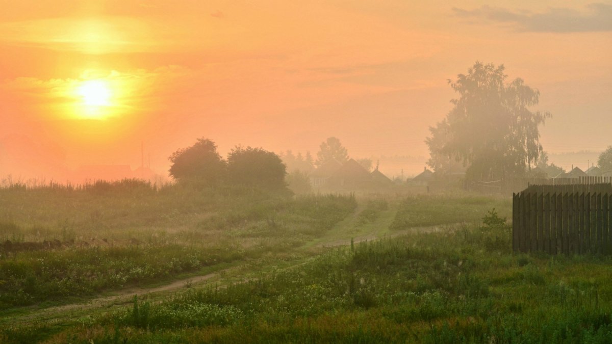 Летнее утро в деревне
