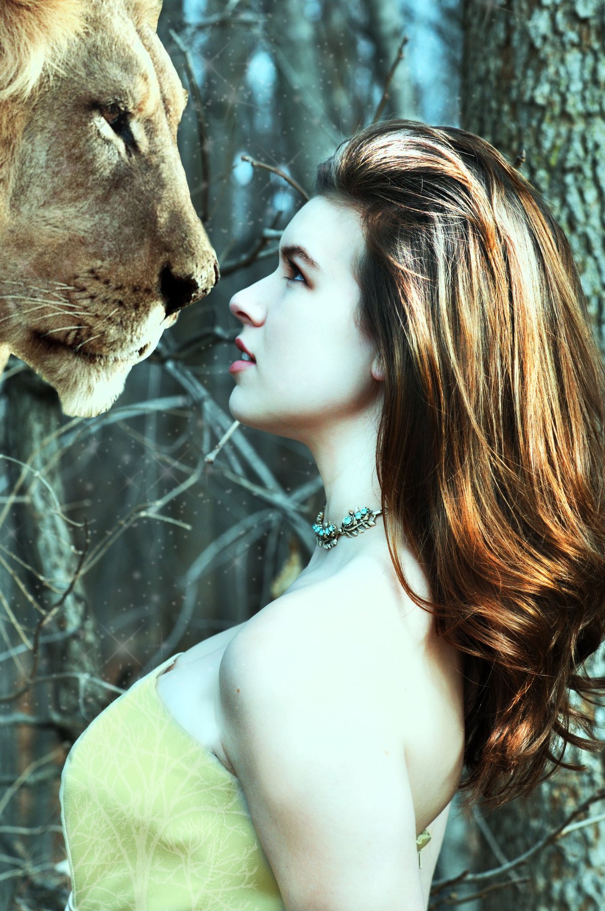 Личная жизнь волк