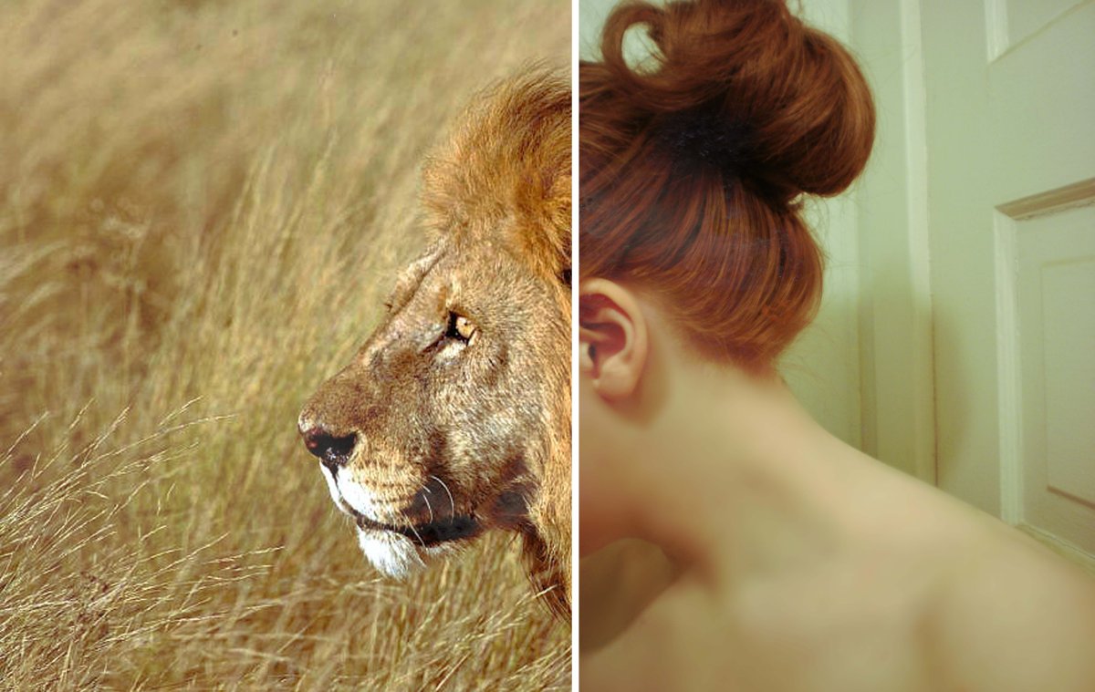 Рыжая девушка со львом