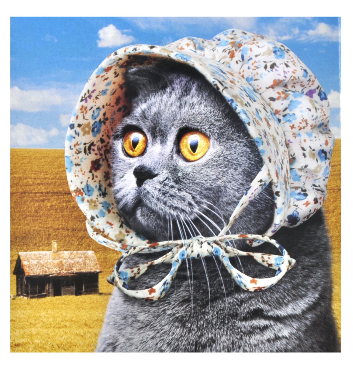 Кот в французской шляпе