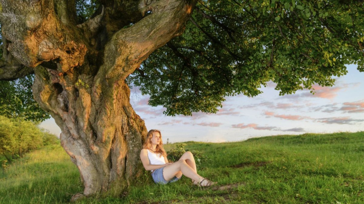 Химера #38066 "дух леса".