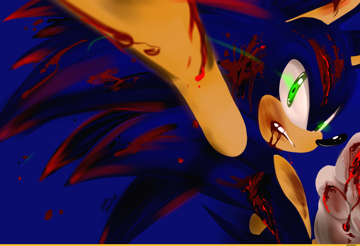 НАКЛЗ Соник адвенчер