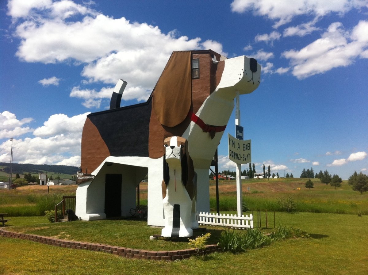 Dog Bark Park Inn США, Айдахо, Коттонвуд
