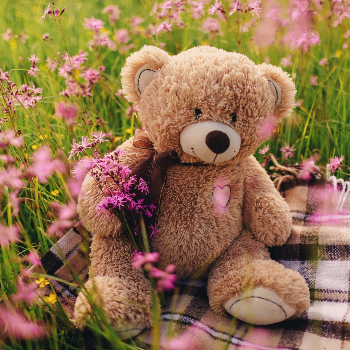 Мишка с цветами