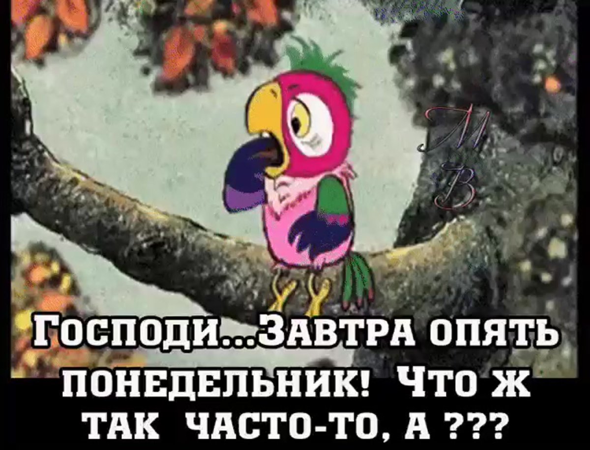 Завтра понедельник и снова