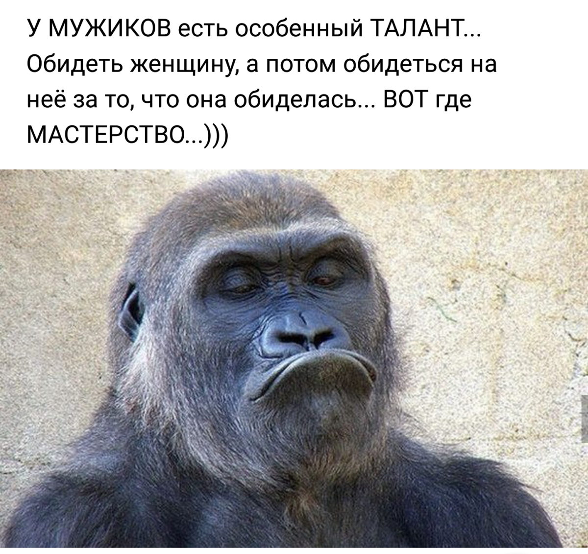 А завтра понедельник смешные