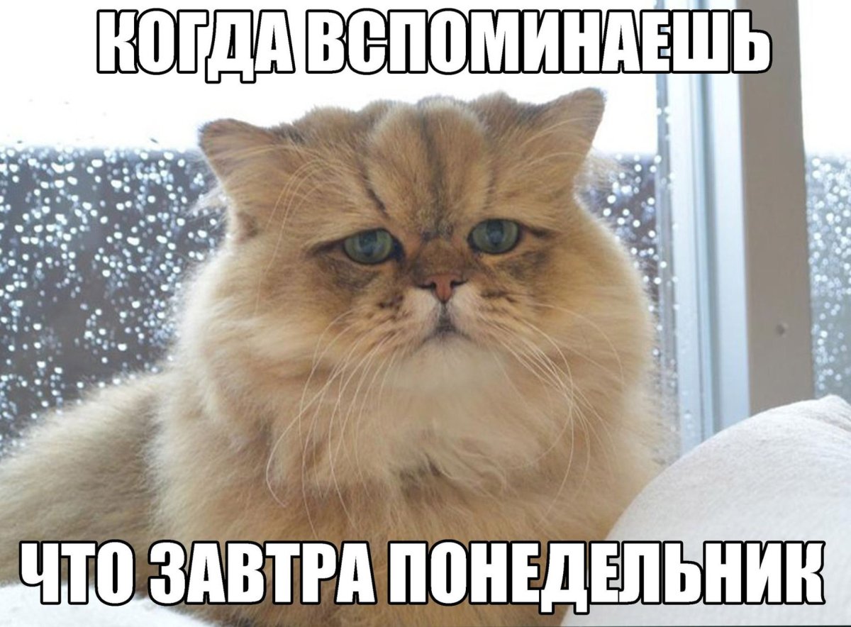 Опять понедельник опять на работу прикольные