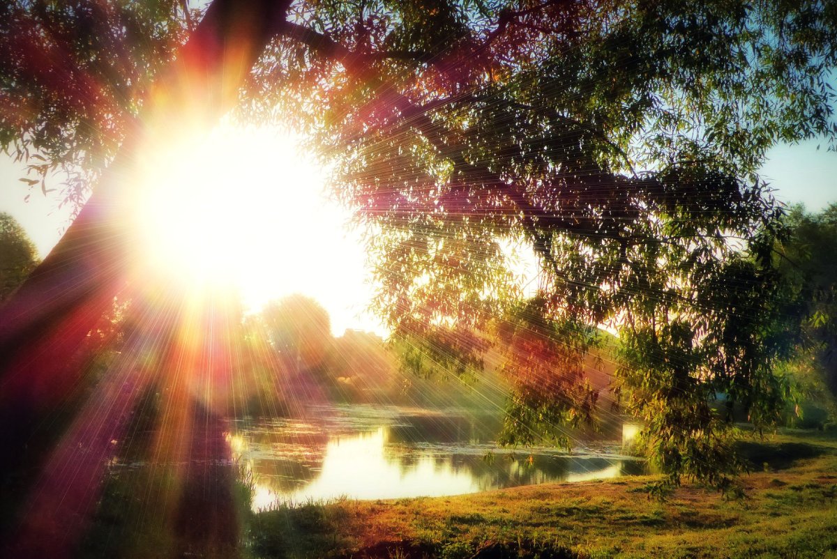 Солнечный день